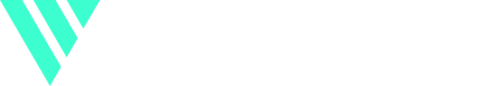 Videowise logo (2)