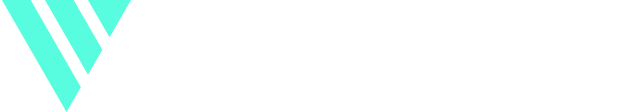 Videowise logo (9)