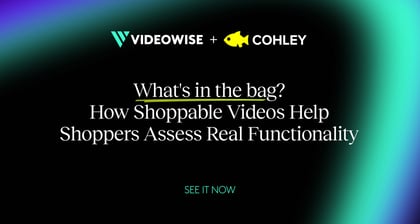 What's in the bag? How Shoppable Videos Help Bag Shoppers Assess Real Functionality